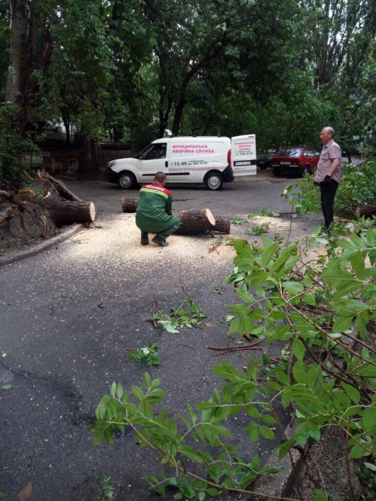 В Запорожье штормовая погода повалила деревья: фото последствий урагана