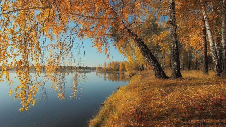 Прогноз погоди на вихідні 28–29 вересня: десь — ще літо, десь — вже осінь