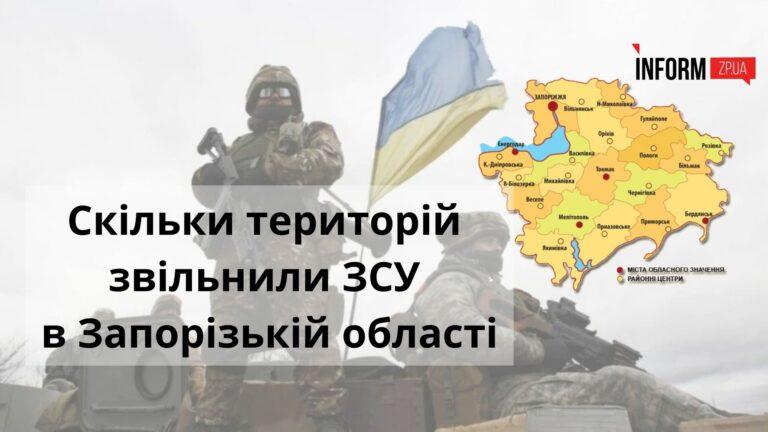 День ЗСУ: скільки територій звільнили в Запорізькій області українські військові