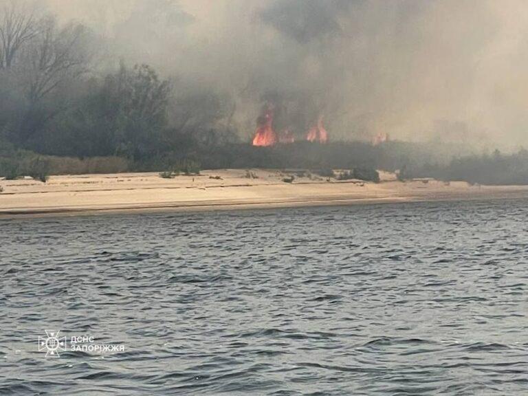 В плавнях Днепра в Запорожье произошел пожар (ФОТО)