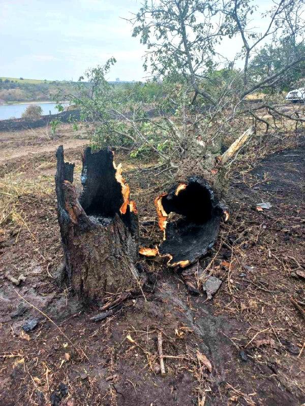 Екологи показали наслідки російської атаки на заповідник Хортиця (ФОТО)