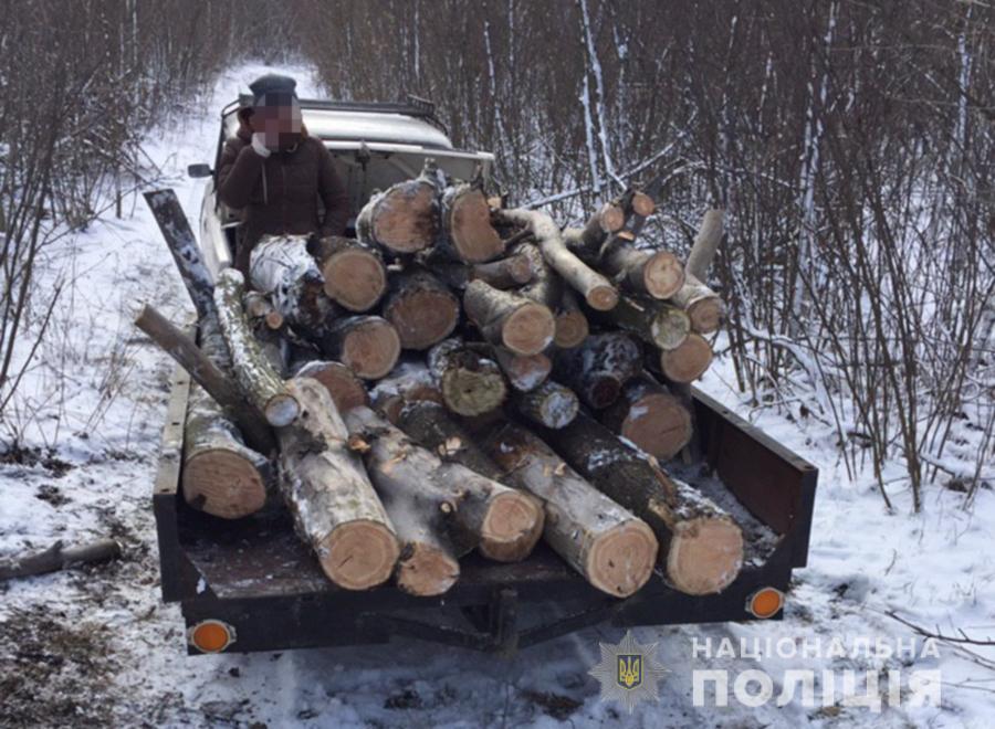 В Запорожской области полиция задержала мужчину, который незаконно спили более 40 деревьев