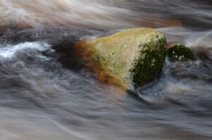 В Запорожской области морскую и речную воду проверили на возбудитель холеры 