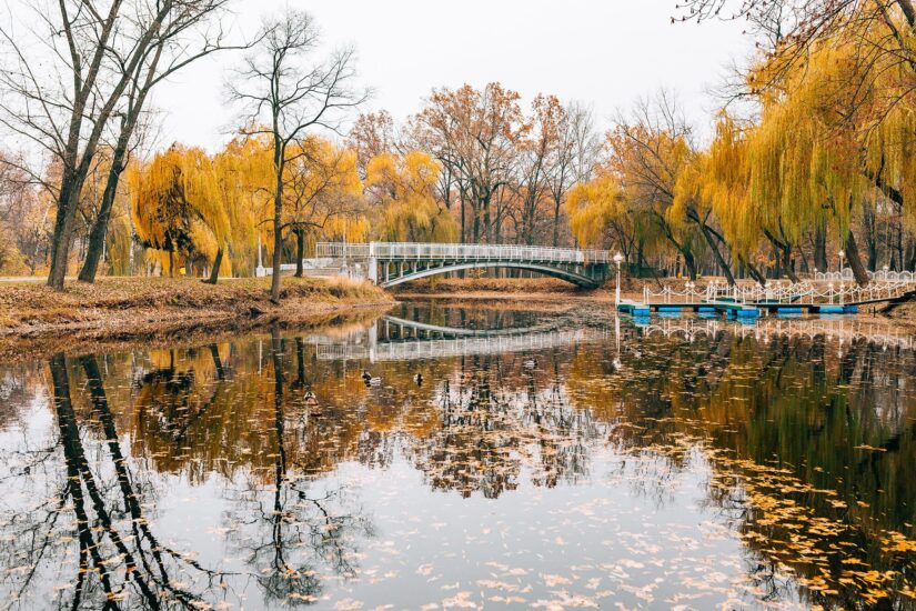 В Запорожский суд передали дело экс-директора “Дубовой рощи”