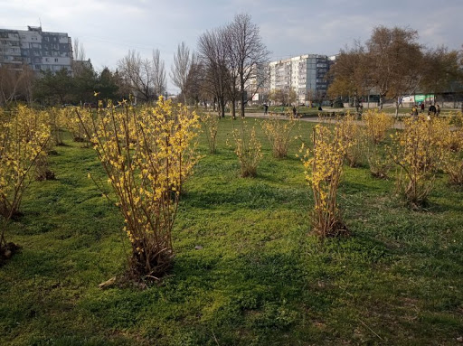 Запоріжжя сквер Юбілейний реконструкція тендер