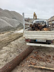 В Запорожье закупили дрова для военных вдвое дороже цен по Украине