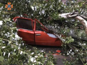 В ГСЧС рассказали о последствиях штормовой погоды в Запорожье. ФОТО