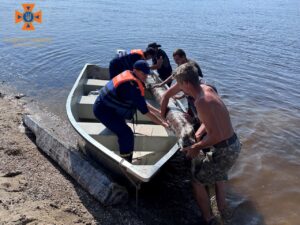 На берегу острова Хортица нашли фрагменты лодок 18 столетия