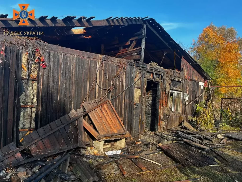 У Запоріжжі на пожежі загинула жінка