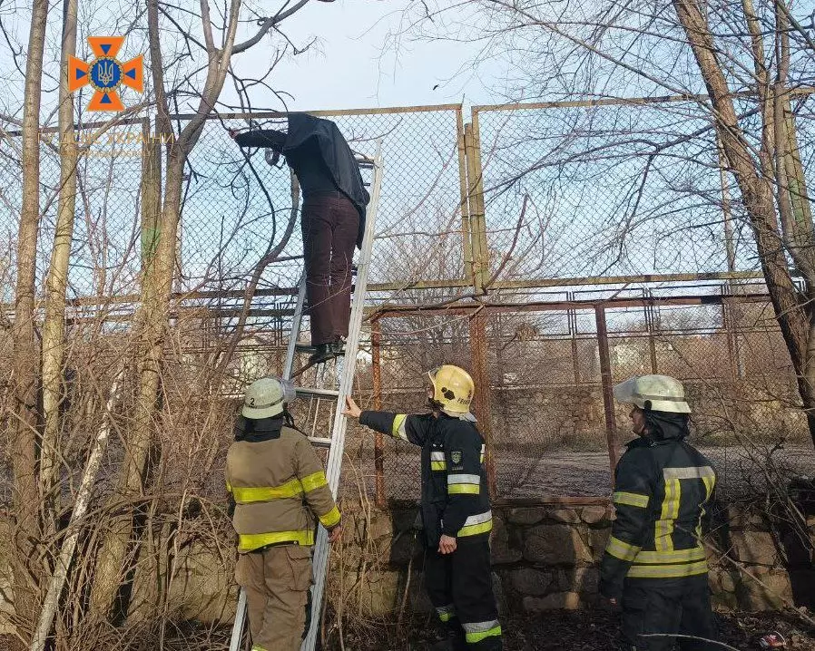 Запорізькі рятувальники допомогли чоловіку, який застряг на паркані