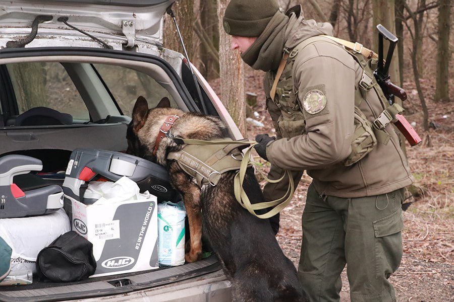 Кінологи на Запорізькому напрямку