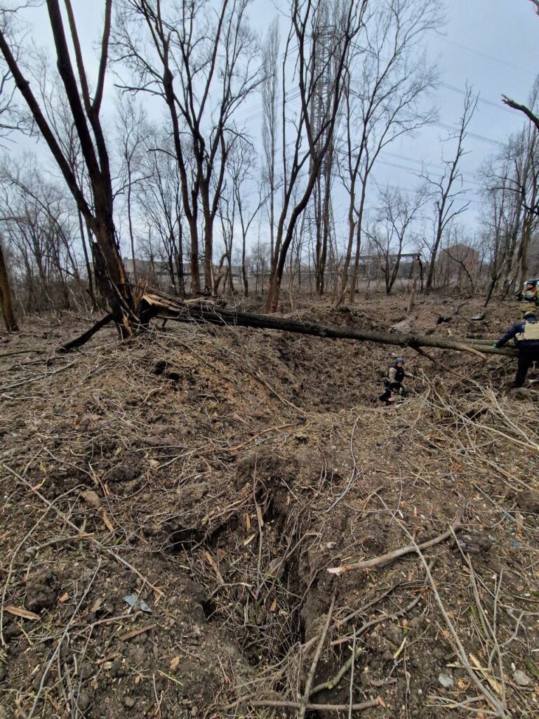 Внаслідок влучання в Запоріжжі постраждала зелена зона