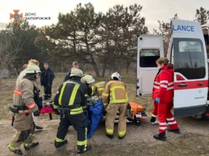 У Запоріжжі дівчина впала з коня: рятувальники 2 км несли травмовану