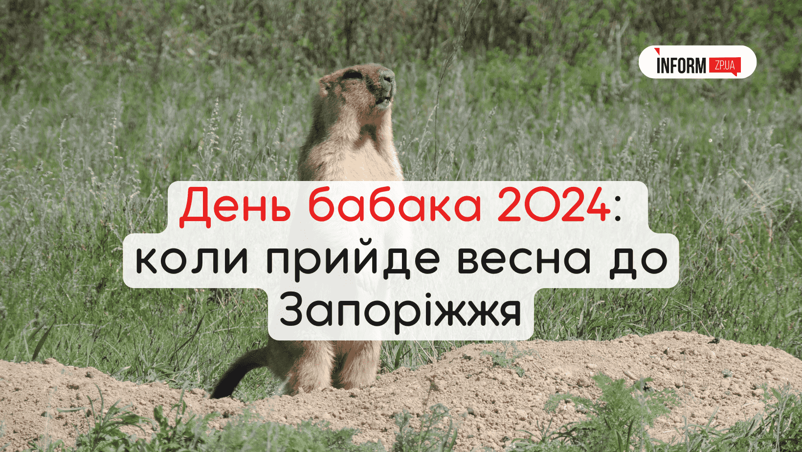 День бабака 2024