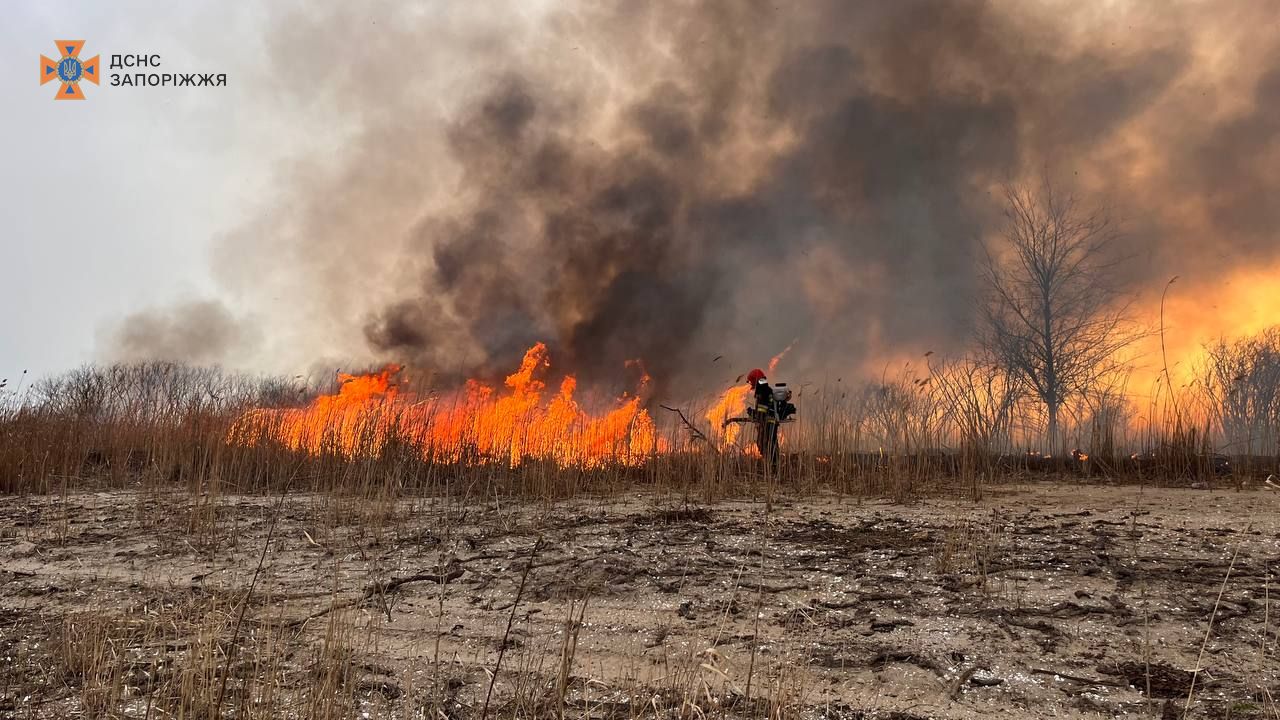 У Запоріжжі пожежа на березі Дніпра