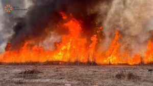 У Запоріжжі оголошено надзвичайну пожежну небезпеку на кілька днів