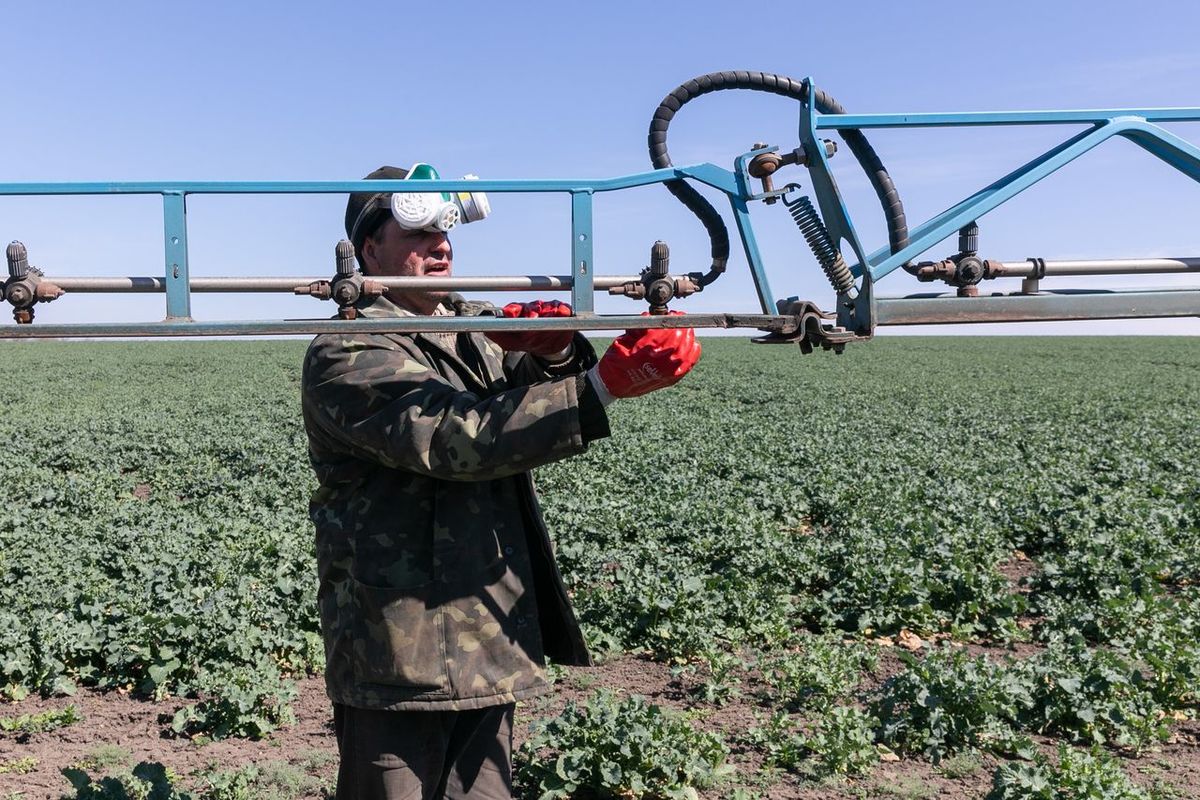 Посівна у Запорізькій області