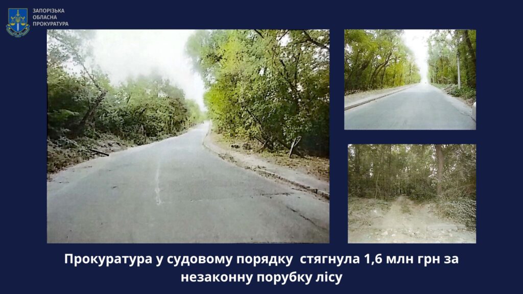 У Запоріжжі через недбалість посадовців нанесли шкоди лісу на 1,6 млн грн