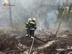 У запорізькому заповіднику «Хортиця» виникла пожежа