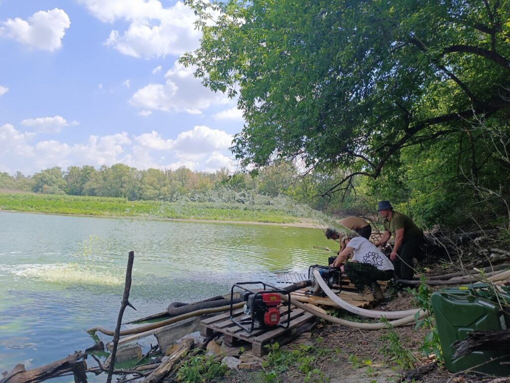 У Запоріжжі на Хортиці загинуло більше півсотні риб