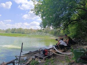 В Запорожье на Хортице погибло более полусотни рыб: что известно (ФОТО)