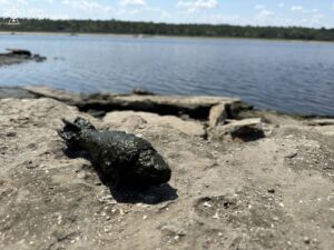 На березі Дніпра виявили міну часів Другої світової війни