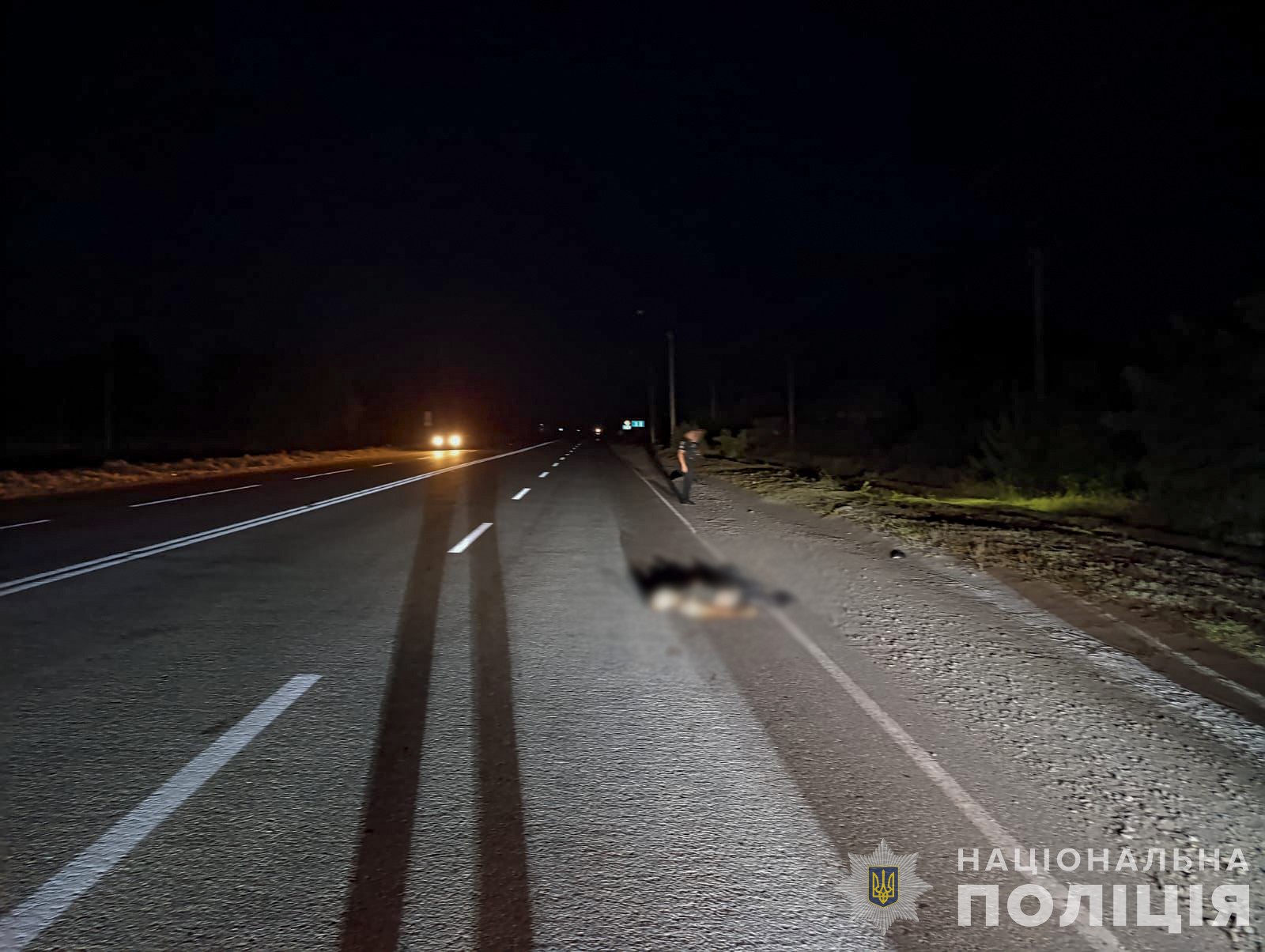 У Комишувасі водій збив військовго