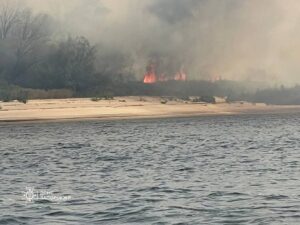 В плавнях Дніпра у Запоріжжі сталася пожежа (ФОТО)