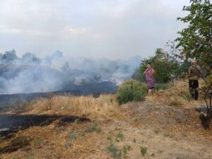 За минулу добу рятувальники загасили понад 60 пожеж в Запорізькій області, – ДСНС