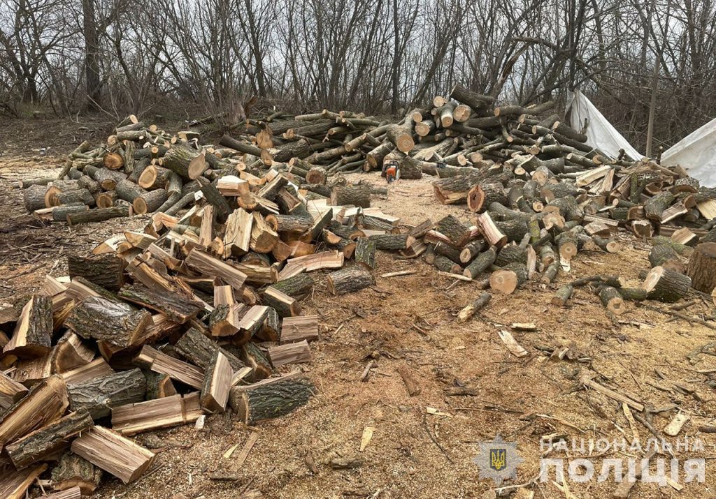 Незаконно спиляні дерева