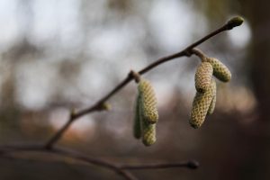 Синоптики прогнозируют возможное похолодание в Запорожье: когда снизится температура