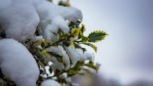 Синоптики ответили, когда наступит потепление в Запорожье