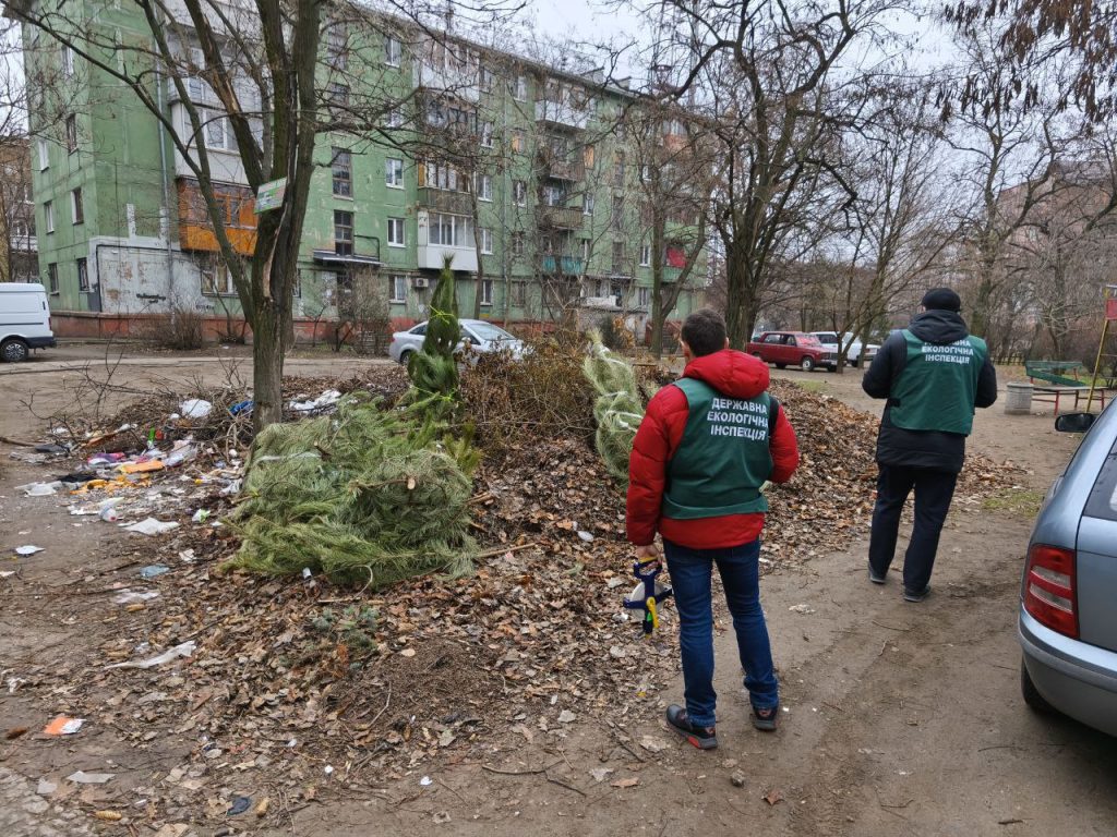 У Запоріжжі поблизу багатоквартирних будинків утворилося сміттєзвалище