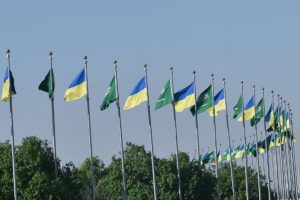 Запоріжжя отримає міжнародну підтримку для боротьби з насильством: мобільні бригади допомагатимуть постраждалим