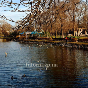 Чому пересихають штучні водойми у центральних парках Запоріжжя (ФОТОРЕПОРТАЖ)