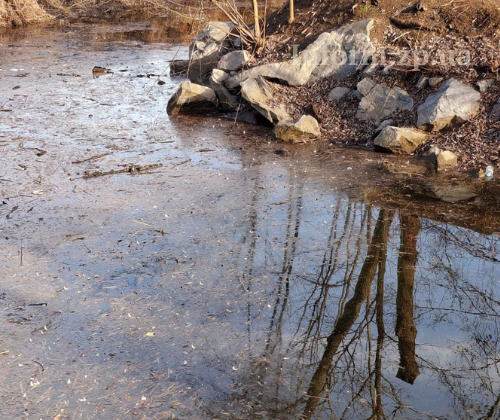 У Дубовому Гаю обміліли водойми