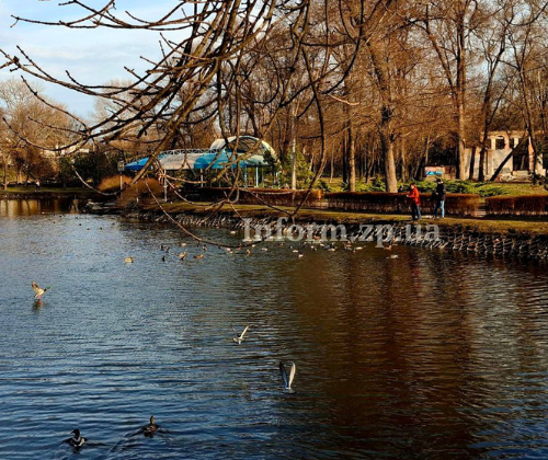 У Дубовому Гаю обміліли водойми