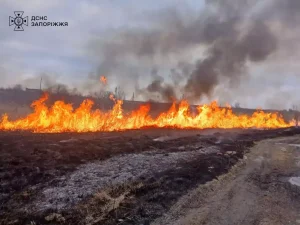 На Запорожье за сутки произошло четыре пожара